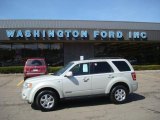 2008 Light Sage Metallic Ford Escape Limited 4WD #27325057