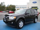 2009 Black Pearl Slate Metallic Ford Escape XLT V6 #27324836