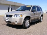 2007 Dune Pearl Metallic Ford Escape XLT V6 4WD #27235625