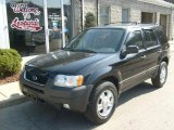 2003 Black Clearcoat Ford Escape XLT V6 4WD #27325075