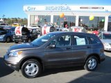 2010 Urban Titanium Metallic Honda CR-V LX #27325087