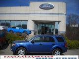 2009 Sport Blue Metallic Ford Escape XLT V6 4WD #27324732
