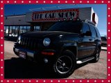 2003 Black Clearcoat Jeep Liberty Renegade 4x4 #27324951