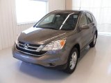 2010 Urban Titanium Metallic Honda CR-V EX-L #27325257