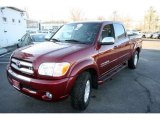 2006 Salsa Red Pearl Toyota Tundra SR5 Double Cab 4x4 #27414112