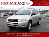 2007 Savannah Metallic Toyota RAV4 I4 #27499064