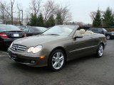 2008 Steel Grey Metallic Mercedes-Benz CLK 350 Cabriolet #27498911