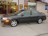 2000 Gray Lustre Metallic Nissan Maxima GLE #2747023