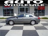 2009 Hyundai Sonata GLS