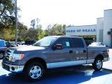 2010 Sterling Grey Metallic Ford F150 XLT SuperCrew #27544148