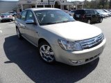 2009 Smokestone Metallic Ford Taurus Limited #27544470