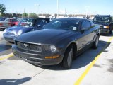 2007 Alloy Metallic Ford Mustang V6 Deluxe Coupe #27625810