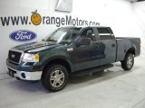 2007 Ford F150 XLT SuperCrew 4x4