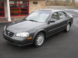 2001 Gray Lustre Metallic Nissan Maxima SE #27626509