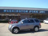 2009 Sterling Grey Metallic Ford Escape Limited 4WD #27704559