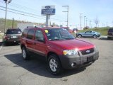 2007 Redfire Metallic Ford Escape XLT V6 4WD #27677158