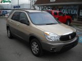 2004 Light Driftwood Metallic Buick Rendezvous CX #27804822