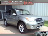 2004 Everglade Green Metallic Toyota RAV4 4WD #27805040