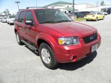 2007 Redfire Metallic Ford Escape XLT V6 4WD #27850699