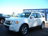2010 White Suede Ford Escape Limited V6 #27850464
