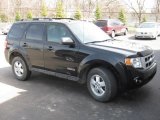 2008 Black Ford Escape XLT #27850781