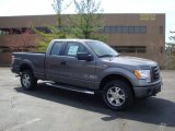 2010 Sterling Grey Metallic Ford F150 STX SuperCab 4x4 #27993179