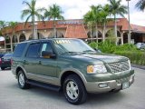 2003 Estate Green Metallic Ford Expedition Eddie Bauer #28143468