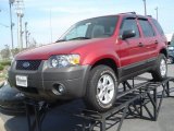 2007 Redfire Metallic Ford Escape XLT V6 4WD #28143562