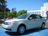 2010 Natural Neutral Metallic Ford Focus SE Sedan #28196318