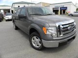 2010 Sterling Grey Metallic Ford F150 XLT SuperCrew #28196477