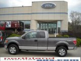 2010 Sterling Grey Metallic Ford F150 XLT SuperCab 4x4 #28246762