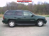 2002 Forest Green Metallic Chevrolet TrailBlazer LS 4x4 #28247362