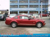 2009 Dark Candy Apple Red Ford Mustang V6 Premium Coupe #28312363