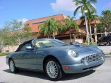 2005 Medium Steel Blue Metallic Ford Thunderbird Deluxe Roadster #2829742