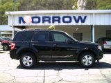 2009 Black Ford Escape XLT V6 4WD #28402814