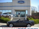 2009 Alloy Metallic Ford Mustang GT Premium Convertible #28402718