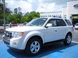 2010 White Suede Ford Escape Limited V6 #28461392