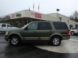 2003 Estate Green Metallic Ford Expedition Eddie Bauer 4x4 #28461775