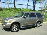2001 Mineral Grey Metallic Lincoln Navigator 4x4 #28527751