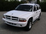 2001 Bright White Dodge Durango SLT 4x4 #28527275