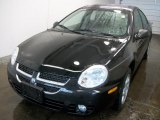2004 Black Dodge Neon SXT #28594753