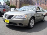 2010 Hyundai Sonata GLS