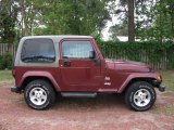 2003 Sienna Pearl Jeep Wrangler Sahara 4x4 #28723700