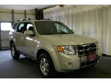 2008 Light Sage Metallic Ford Escape Limited 4WD #28723590