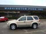 2007 Dune Pearl Metallic Ford Escape XLT V6 4WD #28723674
