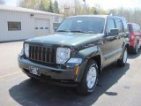 2010 Natural Green Pearl Jeep Liberty Sport 4x4 #28759491