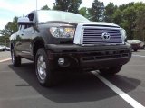 2010 Toyota Tundra Limited Double Cab 4x4