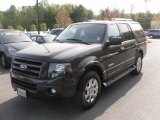 2007 Carbon Metallic Ford Expedition Limited 4x4 #28759476