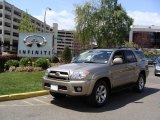 Driftwood Pearl Toyota 4Runner in 2008