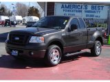 2006 Dark Stone Metallic Ford F150 STX Regular Cab #28801876